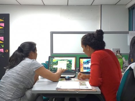 Sacfa Capacitación personalizada sobre el SACFA | Noticias - Fedearroz