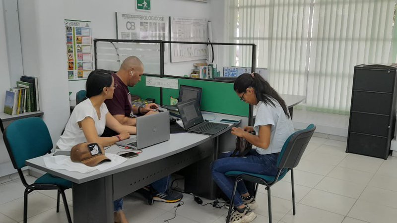 Sacfa Taller SACFA, como herramienta para monitorear los costos del cultivo ...